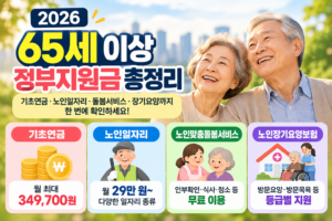 2026 어르신 정부지원금 총정리